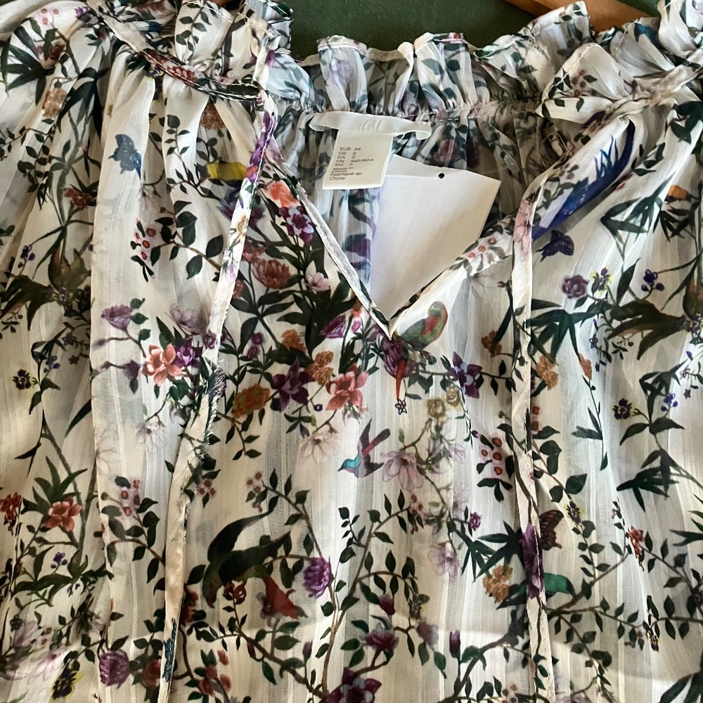 H&M Floral Print Semi Sheer Ruffle Blouse Size 2